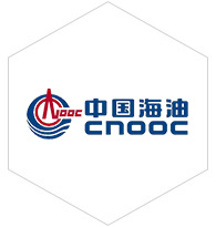 聯盟伙伴