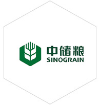 聯盟伙伴