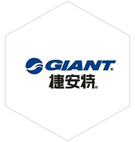 聯盟伙伴